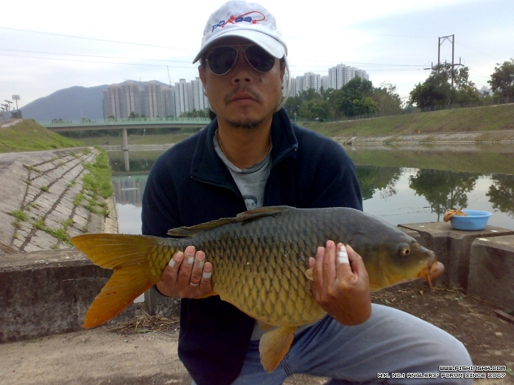 201301011683.jpg
