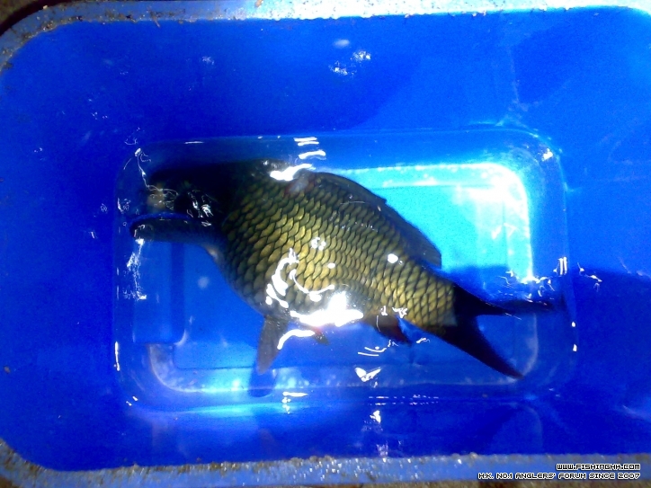 201301011693.jpg