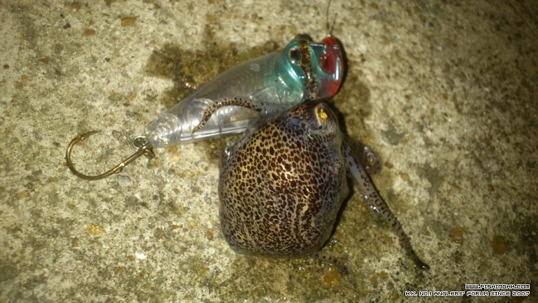 DSC_0604.JPG