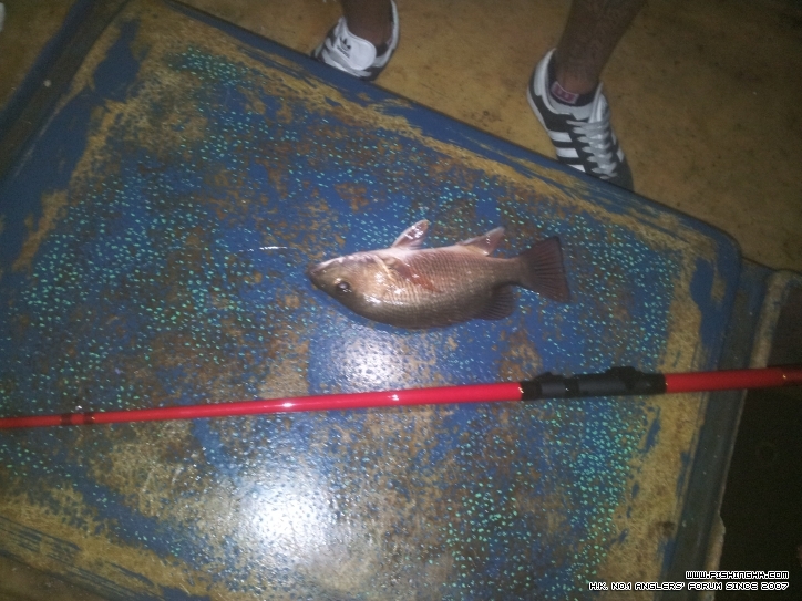 20121004_232925.jpg