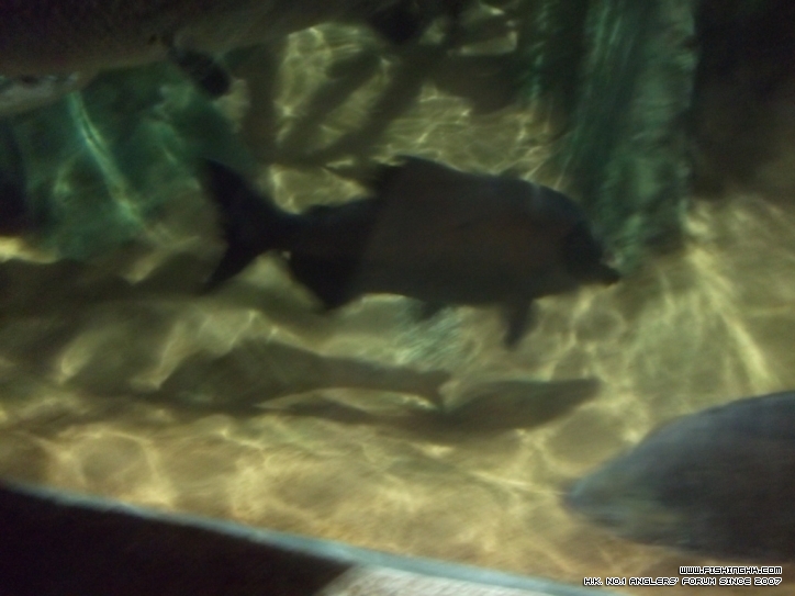 DSCF6814.JPG