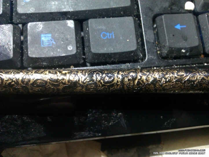 IMAG0220.jpg