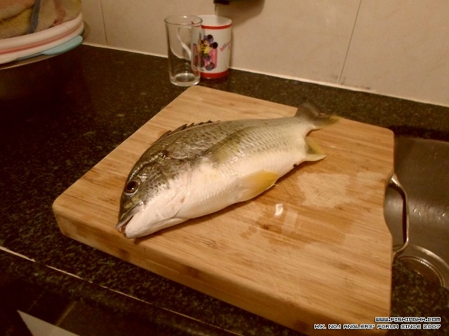 SAM_0033 (640x480).jpg