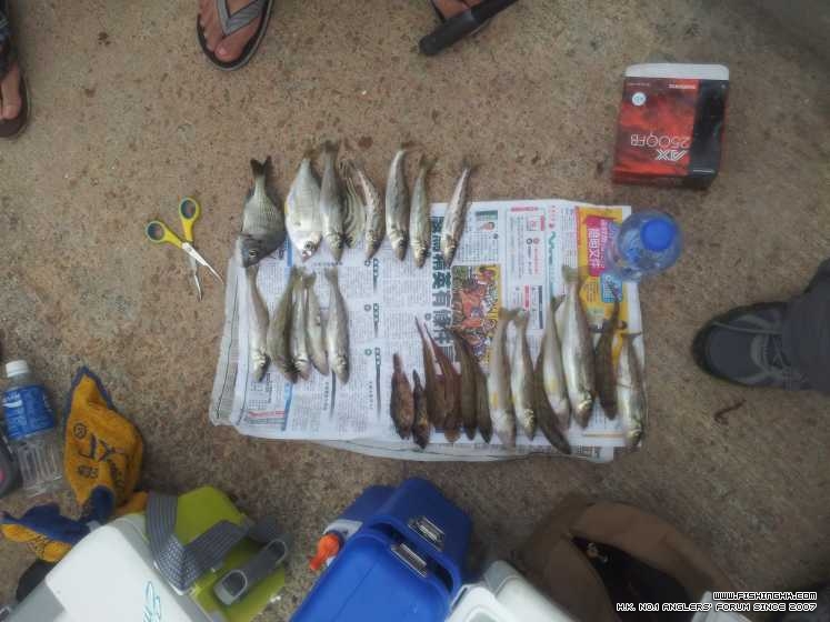 20130303_153850.jpg