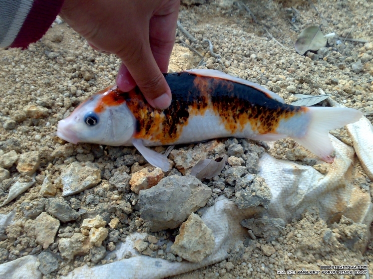 201303161883.jpg