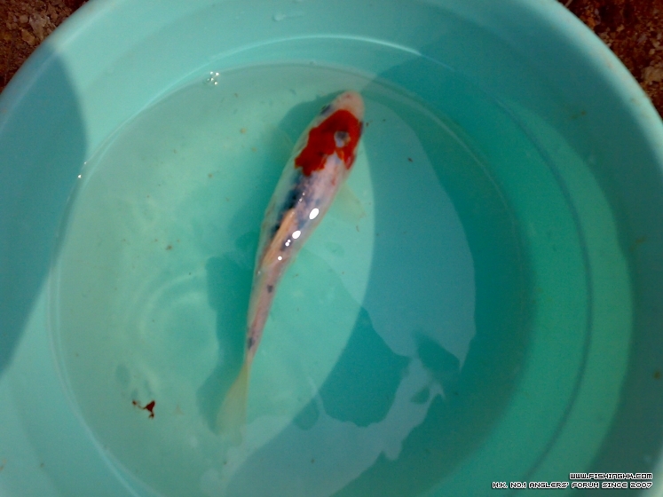 201303161889.jpg