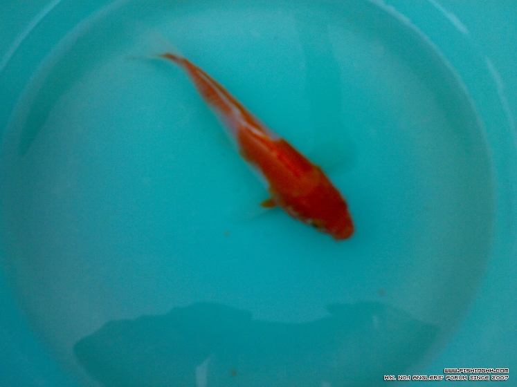 201303161891.jpg