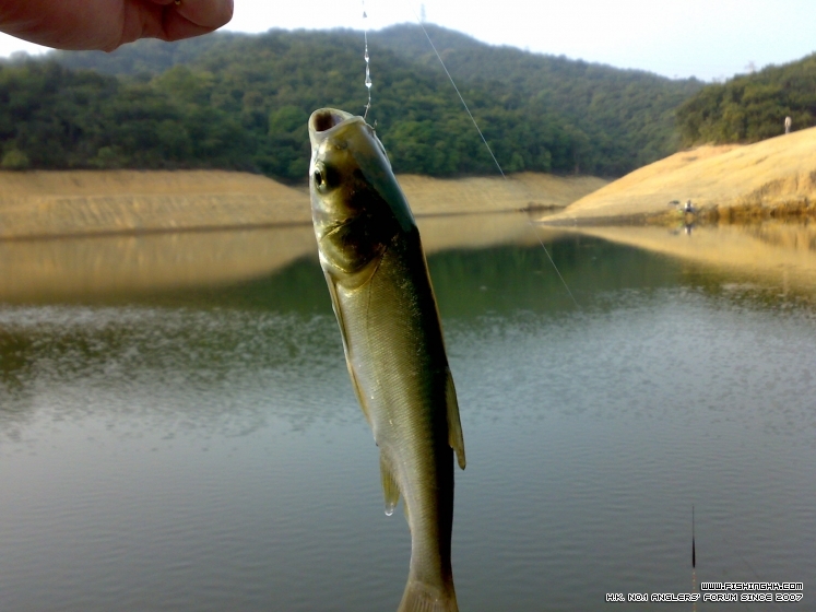 201303161895.jpg