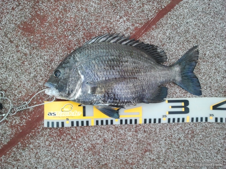 2013-03-17 06.41.16.jpg
