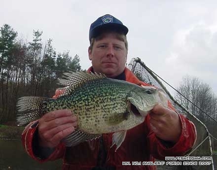 2x06_16tamarack_crappie.jpg