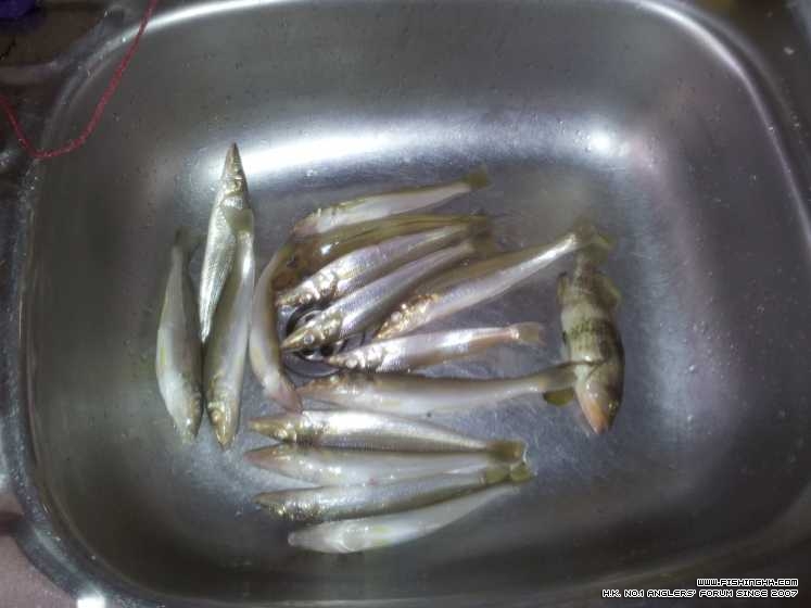 20130317_132304.jpg