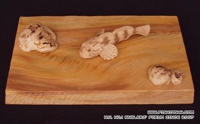 kajika.jpg