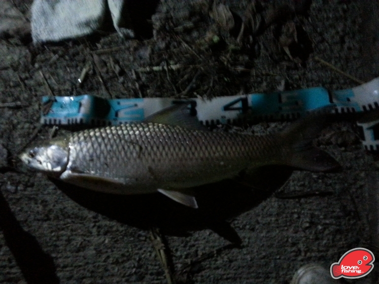 20130407_211311.jpg