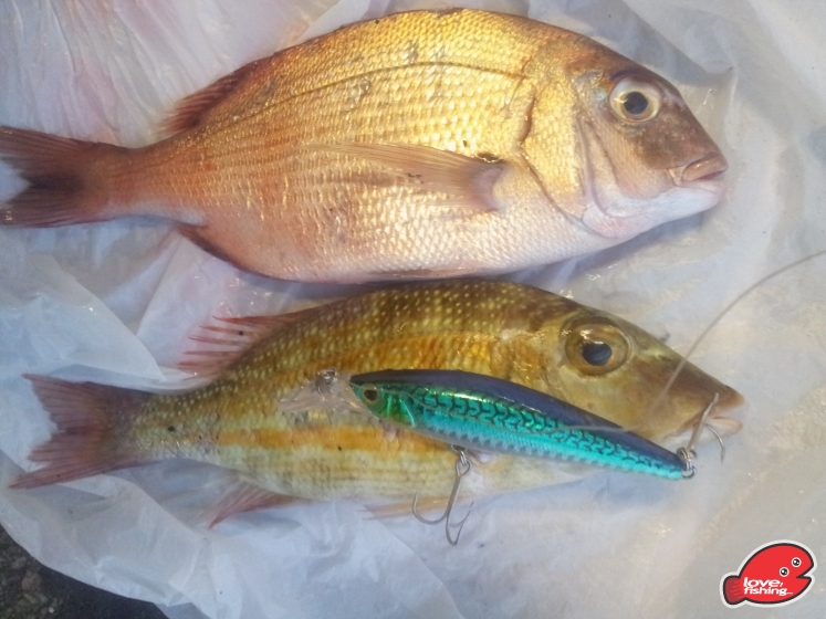 20130410_183221.jpg