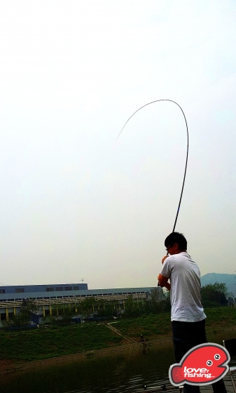 2013-04-14 11.37.19.jpg