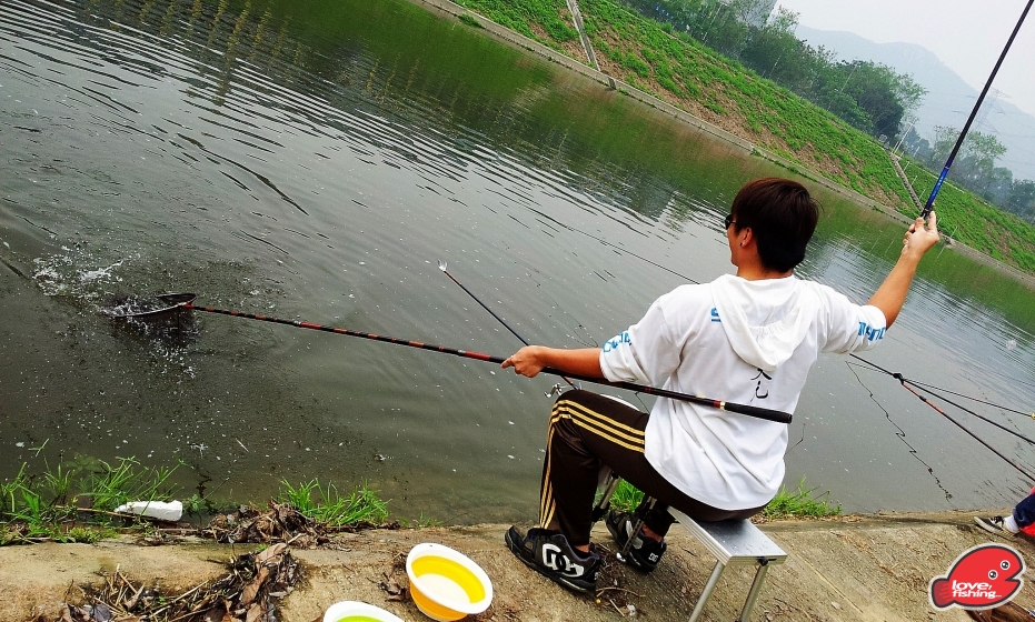 2013-04-14 12.13.42.jpg