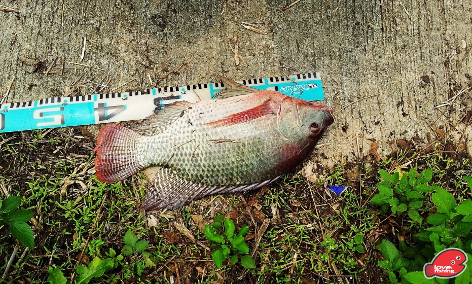 2013-04-14 12.23.15.jpg