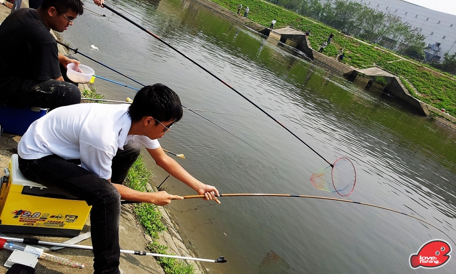 2013-04-14 13.49.10.jpg