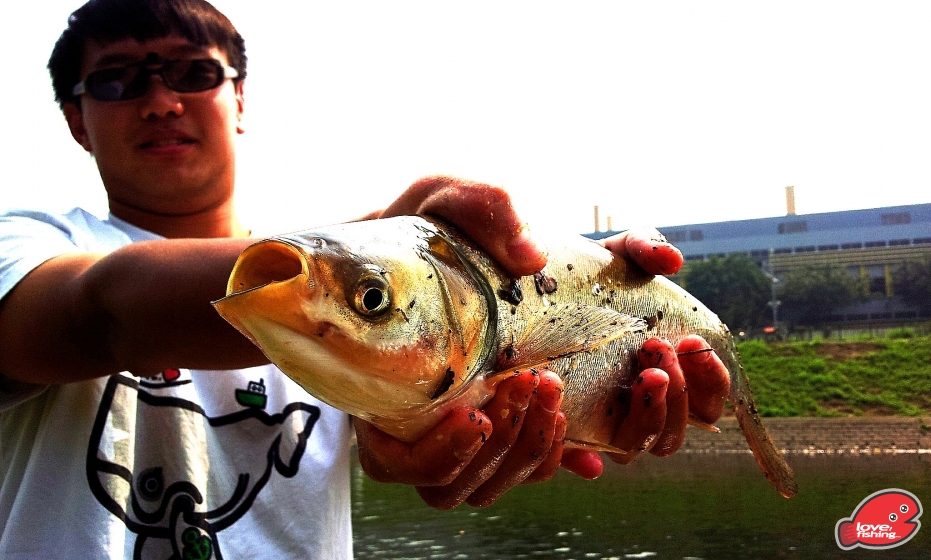 2013-04-14 14.31.36.jpg