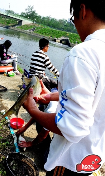 2013-04-14 14.35.27.jpg