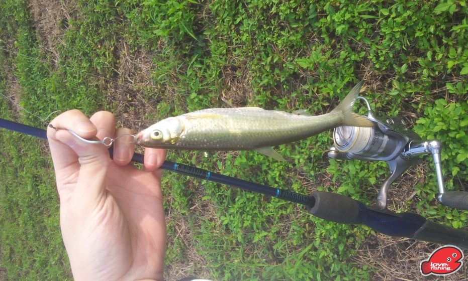 20130413_160650.jpg