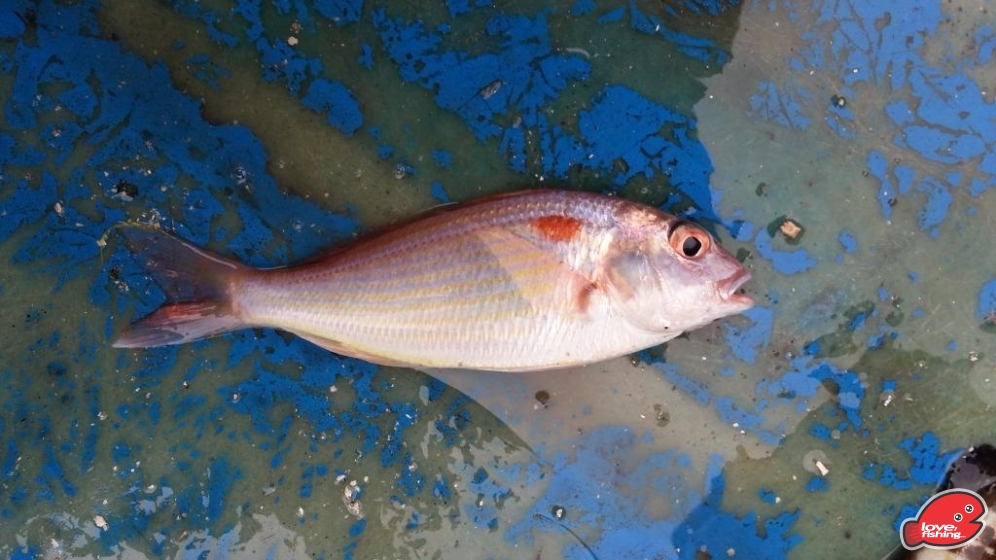 20130416_174745.jpg