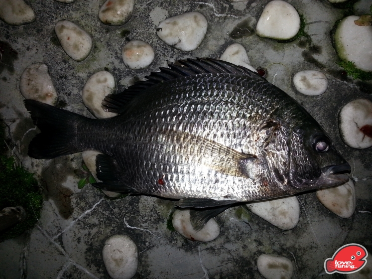 20130415_222219.jpg