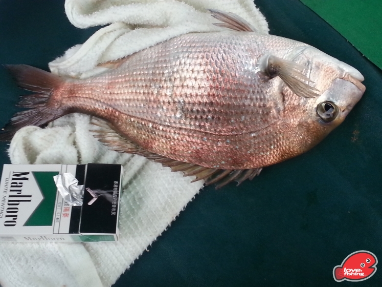 20130422_154445.jpg