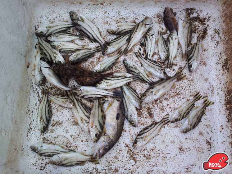 20130427_165811.jpg