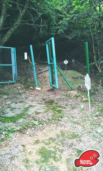 2013-04-28 14.55.40.jpg