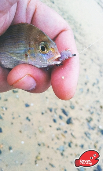 2013-04-28 16.16.24.jpg