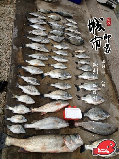 506_388926420_IMG_0456_副本.jpg
