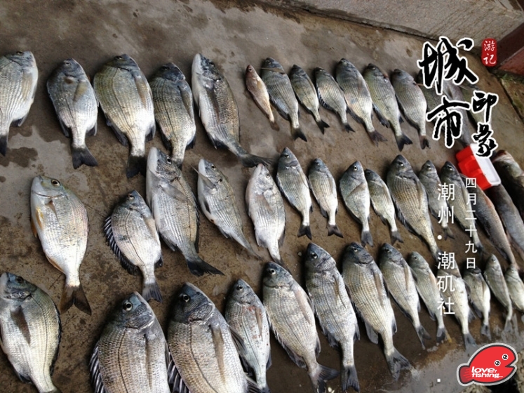 509_388926571_IMG_0459_副本.jpg