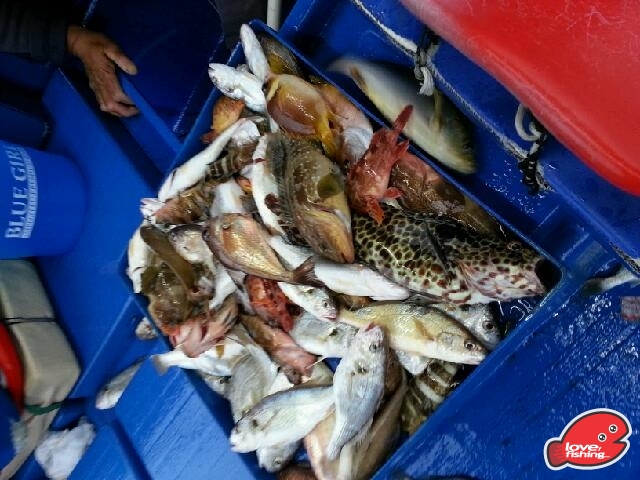 20130317_180608.jpg