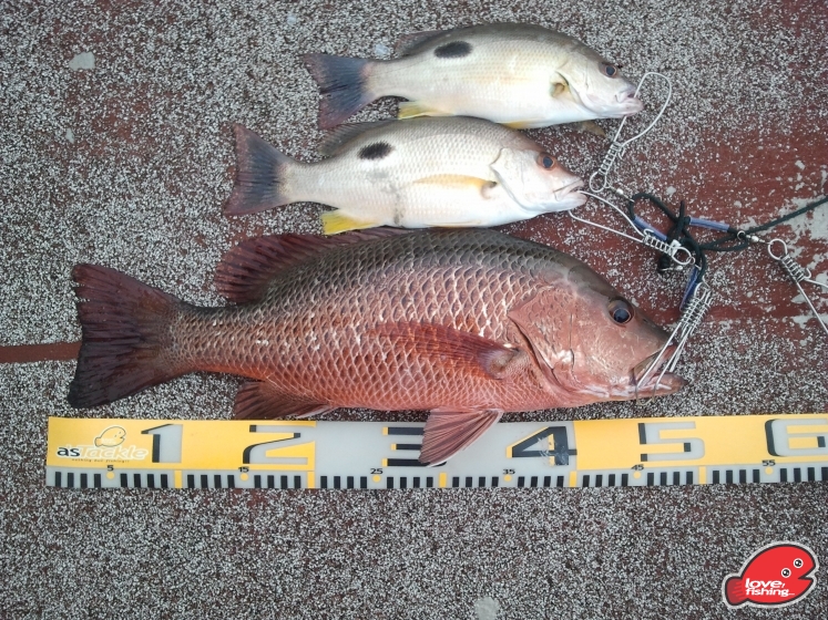 2013-05-12 06.53.15.jpg