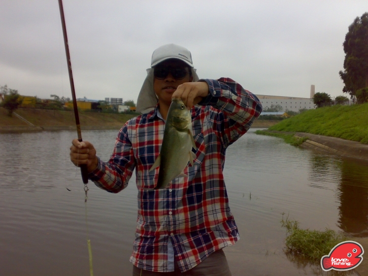 201305112003.jpg