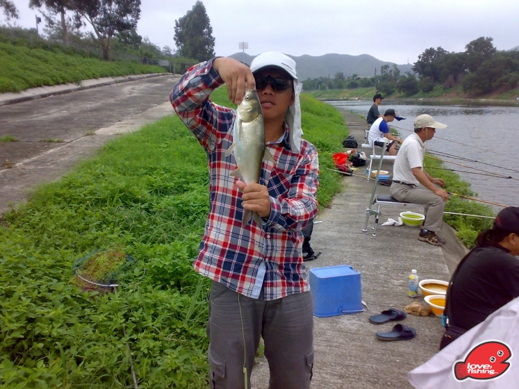 201305112004.jpg