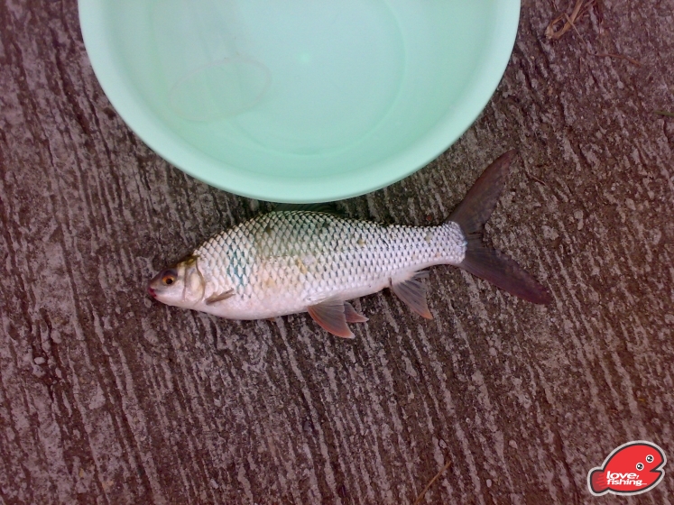 201305122008.jpg