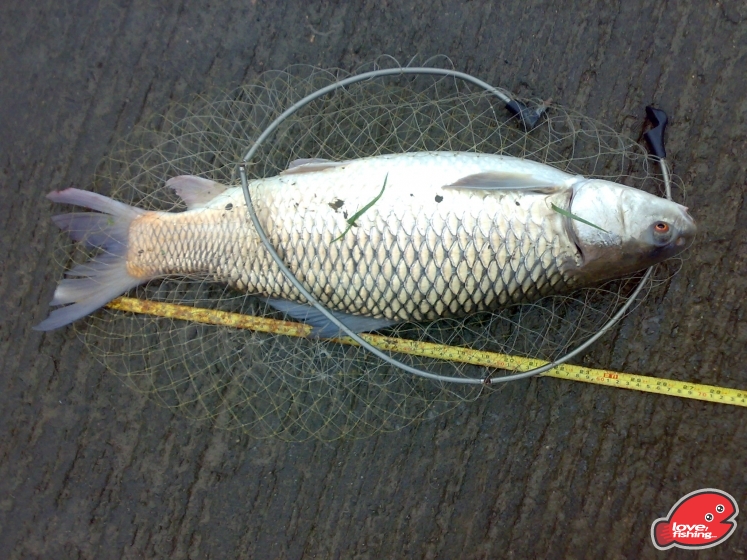 201305122009.jpg