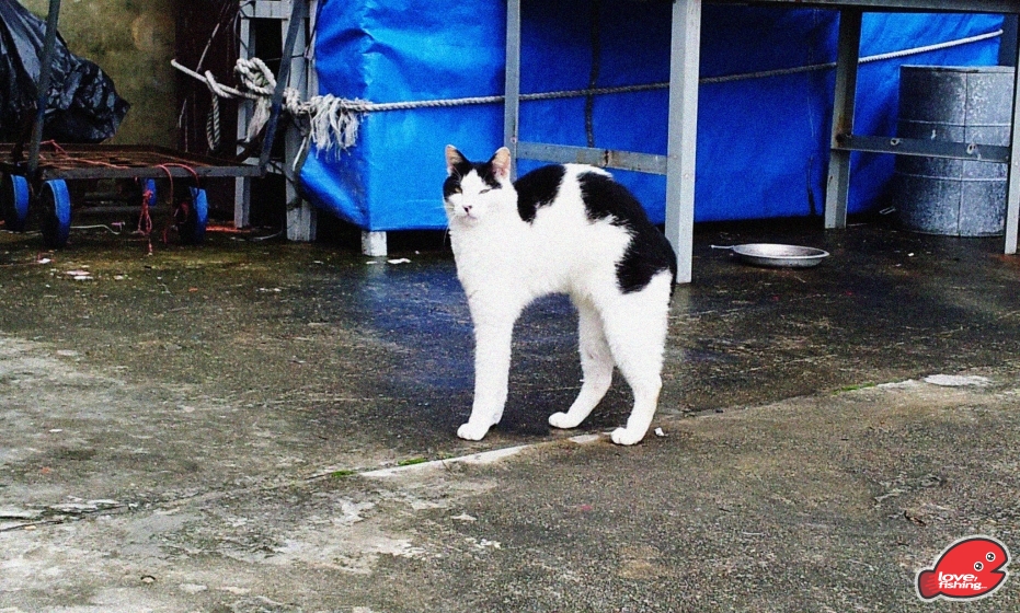 2013-05-12 16.58.27.jpg