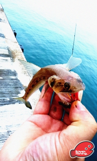 2013-05-12 18.25.44.jpg