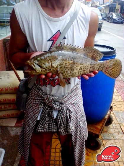 IMG_20130510_163157.jpg