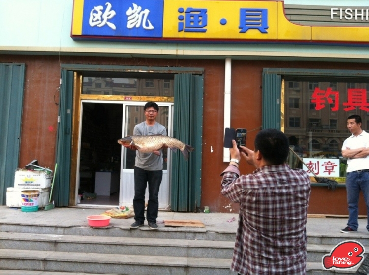 2013年5月12日 大草鱼.jpg