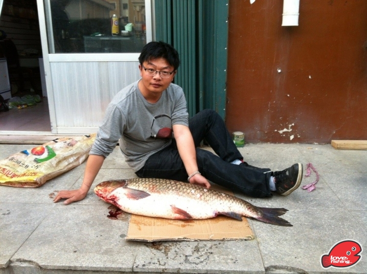 2013年5月12日 大草鱼1.jpg