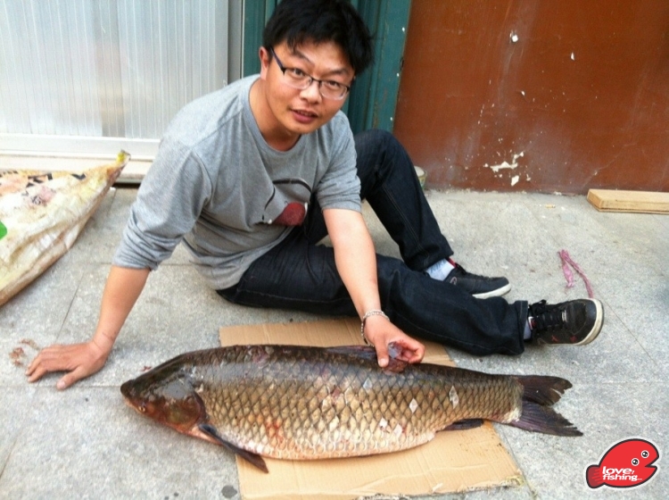 2013年5月12日 大草鱼2.jpg