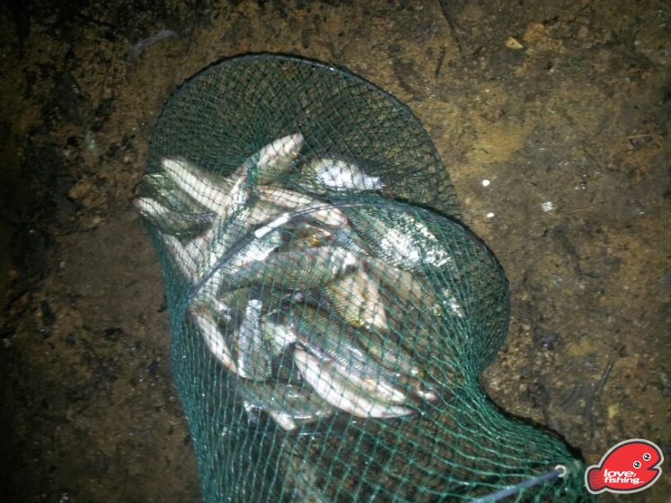 IMG-20130514-WA0002.jpg