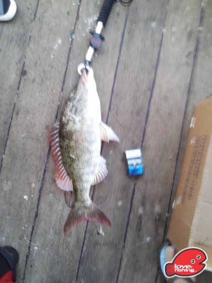 IMG_20130426_170642.jpg