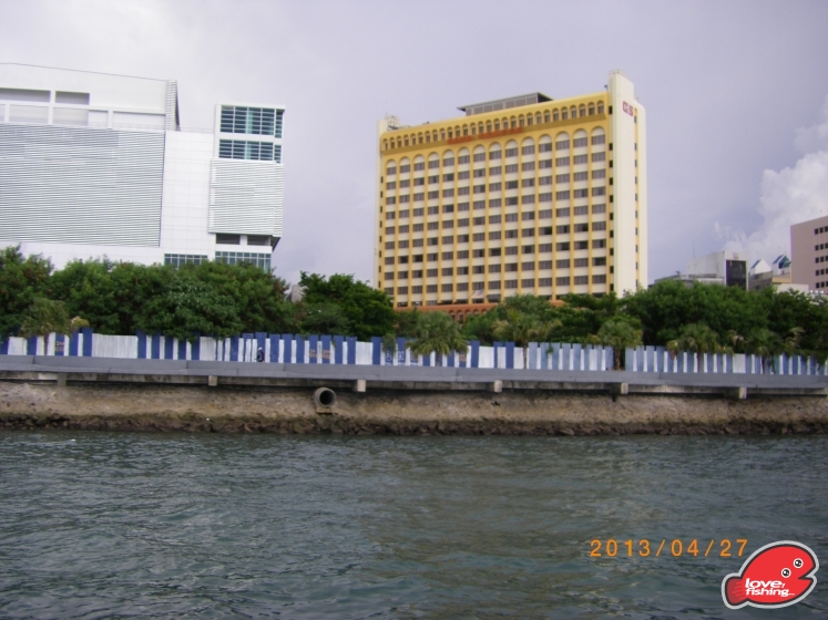 IMGP3374.JPG