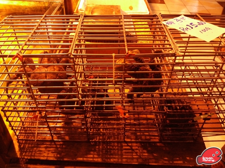 IMG_20130428_210300.jpg