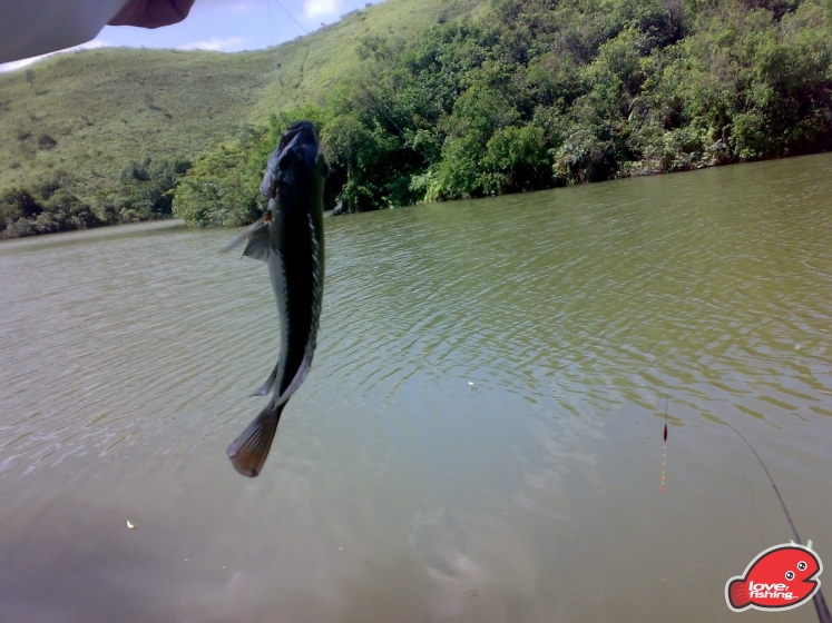201306012039.jpg